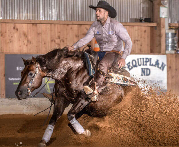 hoeveler impression westernpferd pferdefutter